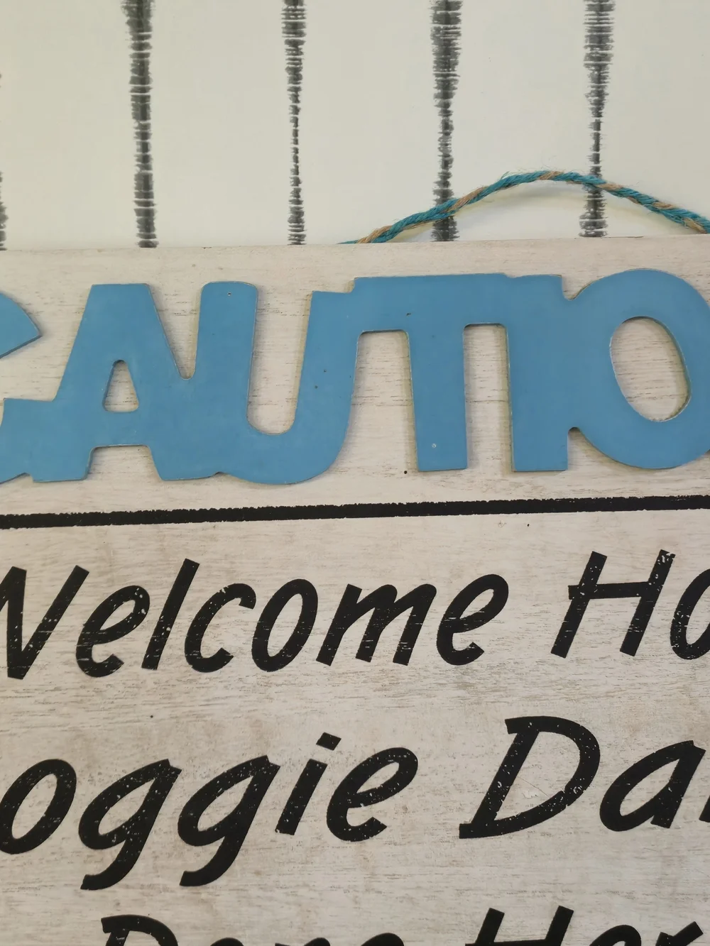 Doggie Dance Welcome Home Wooden Dog Sign – “Caution” Pet Wall Decor